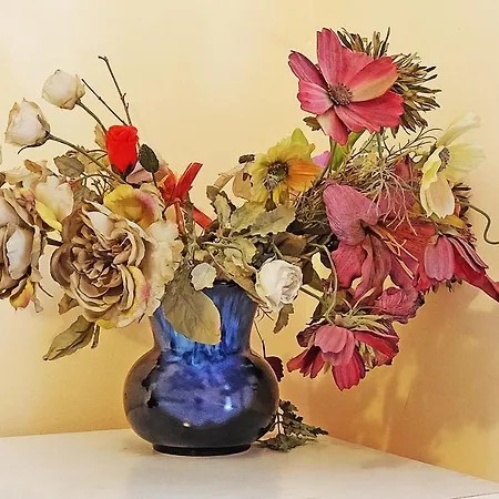 Apartment Paradise Sunny Belgrad