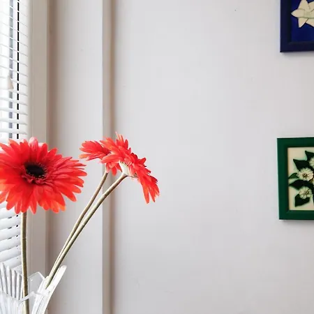 Apartment Paradise Sunny